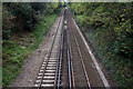 View from railway bridge on Glenferness Avenue