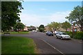 Farm View, Taunton