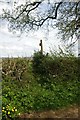 Footpath to Shalford