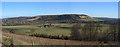 TQ1651 : Denbies Vineyard and Box Hill looking east from the North Downs Way by Richard Willcox