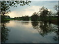 Fishing Lake at Limetree Farm