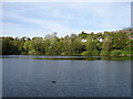 Reservoir Alexandra Park East Sussex