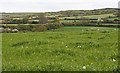 Pasture land in May