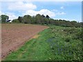 Field  south of Netherhope Lane