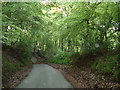 Northill Wood, near The Crong