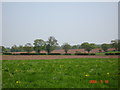 Spring ploughing in Chorlton