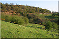 Landscape in the Peak District National Park