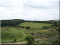 Wingate Quarry Local Nature Reserve