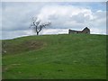 Ruined cottage near Elsrickle