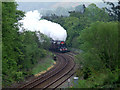 Steam train in tree lined cutting