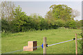 Small Paddock near Thurlaston, Leicestershire