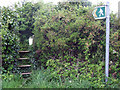 Overgrown stile