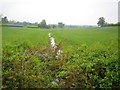 River Ver near Flamstead