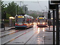 Trams passing on Infirmary Road