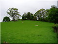 Field near Bylan, Llanelidan