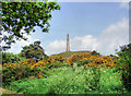 Lilleshall Monument