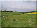 Farmland at Park Corner