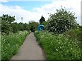 Sustrans Route 66 - Osbaldwick