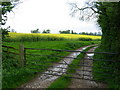 SP6471 : Farmland near West Haddon by Stephen McKay