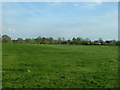 Farmland near Swanwick Green