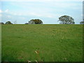 Farmland near Chinnel Farm