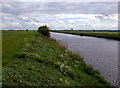 SE9713 : The New River Ancholme by David Wright