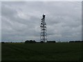 TF4213 : Radio mast Newton by Tony Bennett