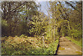 Bridleway through The Mens, Strood Green.