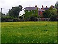 Buttercup field between Meerut Lane and Martins Road, Brockenhurst