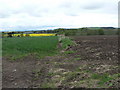 Looking across to Balmadies House