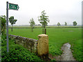 Edenthorpe Playing Field