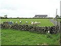 Crocknashinnagh Townland, Pomeroy