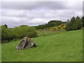 Tremoge Townland, Pomeroy