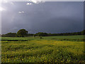 Storm-clouds near Sherborne St John