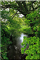 Avon Water river at Flexford Lane