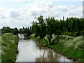 Market Weighton Canal