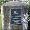 Gatepost, Delamere Park