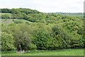 Clayhidon: footpath to Ringdown Common