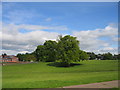 Recreation ground at Staple Lodge Road