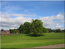 SP0378 : Recreation ground at Staple Lodge Road by David Stowell