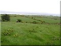 Crockacarnan Townland