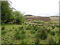 Copney Townland