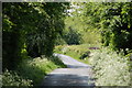 Towpath, disused Newry canal, Scarva