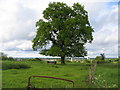 View from Crabmill Lane