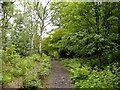 Middle Walk, below Helsby Crag