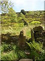 Footpath up to Old Lindley Edge Recreation Ground