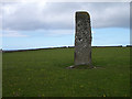 HY7552 : Standing stone on North Ronaldsay by Lis Burke