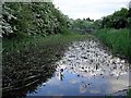 The Nottingham Canal