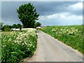 Spen Lane, Holme on Spalding Moor