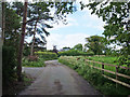 Bridleway near Knutsford